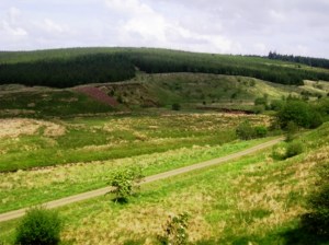 A-Day-of-Truce-was-held-at-the-Dayholme-of-Kershope